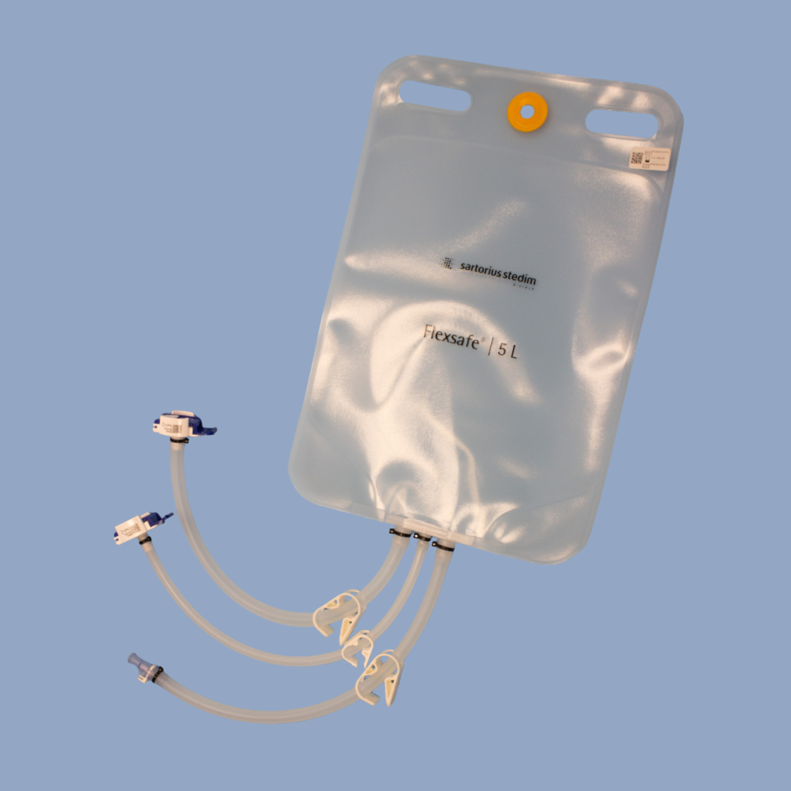 2D Bags